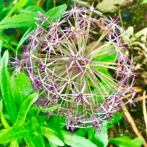 Meet your Posher, Kaylie